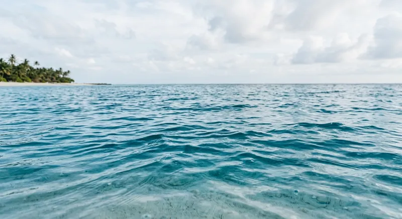 Pick the weather that feels most like your soul.